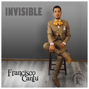 Invisible (Explicit)