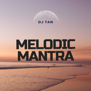 Dj Tan - Sultan Of Melody