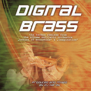 DJ Hardy - Vlaski orijent