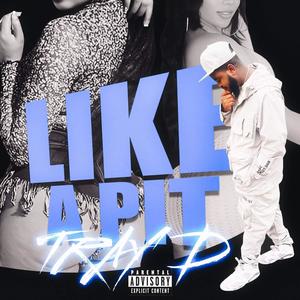 Like A Pit (Explicit)