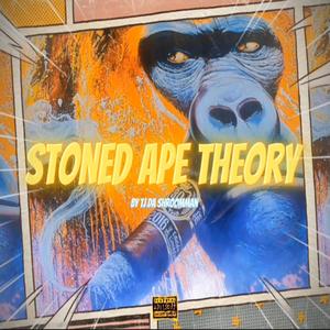 Stoned Ape Theory (Explicit)