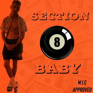 Section 8 Baby (feat. Cartie) (Explicit)