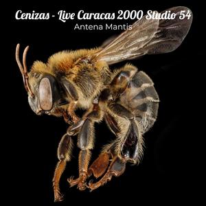 Cenizas - Live Caracas 2000 Studio 54