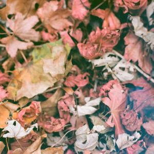 Oh, How The Years Fly By