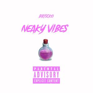 Neaky Vibes (Explicit)