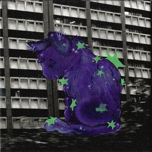 BLACK CAT (Explicit)