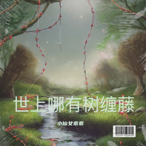 阿妹生得像朵花