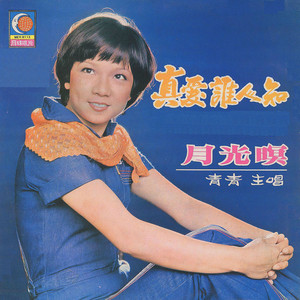 真爱谁人知封面