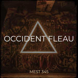 OCCIDENT FLEAU (Explicit)