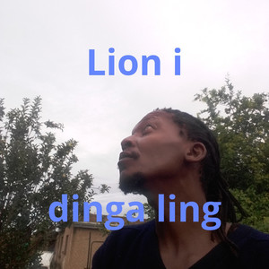 Dinga Ling