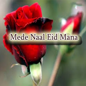 Mede Naal Eid Mana