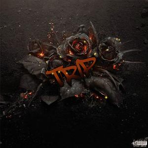 Trip (Explicit)