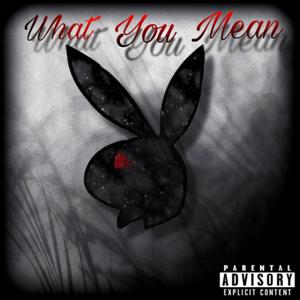 What you mean (Explicit)