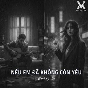 Nếu Em Đã Không Còn Yêu (Lofi)