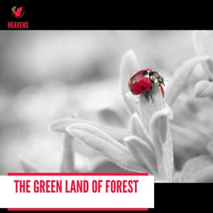 The Green Land of Forest