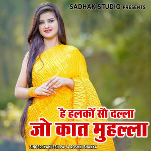 Hai Halko Sau Dalla Jo Kaat Muhalla