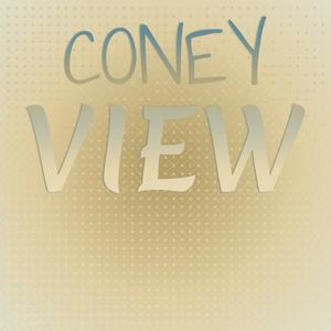 Coney View