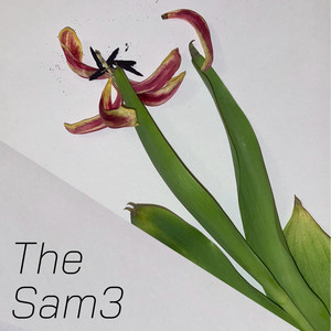 The Sam3 (Explicit)