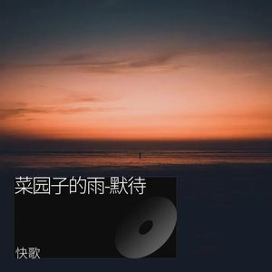 菜园子的雨-默待