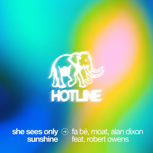 She Sees Only Sunshine (Extended Mix)