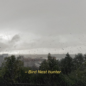 Bird Nest Hunter (Remix)