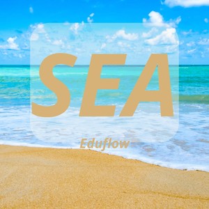 SEA (Explicit)