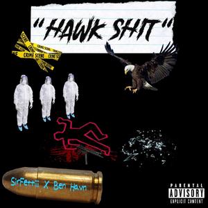 Hawk **** (feat. Ben Havn) (Explicit)