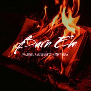 Burn Em (feat. Franky Vibez & Addemup) [Explicit]