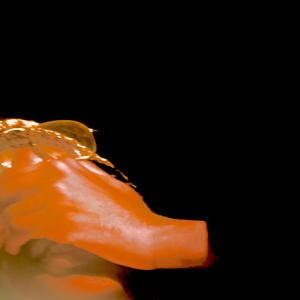 new steppers (feat. Ibiscus) (Explicit)