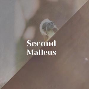 Second Malleus