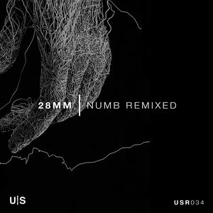 Shutter (LUNR Remix)