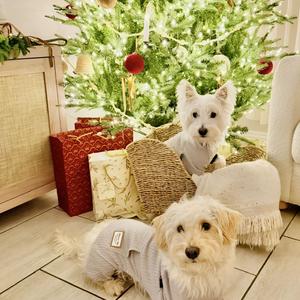 Shop for You (Vintage Xmas Remix)