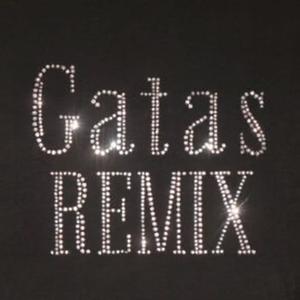 Gatas remix (feat. Shovske & Drilløx) (Explicit)