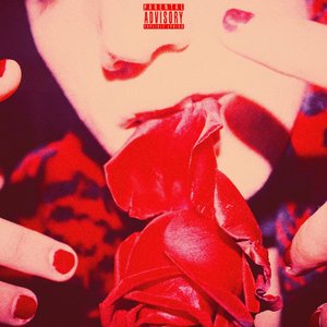 IL RAGAZZO DELLE ROSE (Explicit)