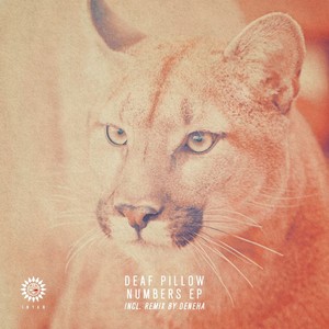 Numbers (Deneha Remix)