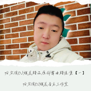 哈尔滨DJ旗总音乐工作室 - 大头针-三生劫续今生缘(哈尔滨DJ旗总ElectroRemix2026独家版)