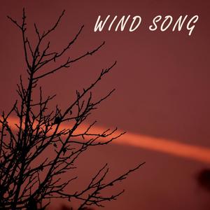 Wind Song