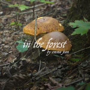 in the forest