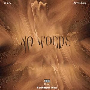 No Words (feat. Anyafulugo)