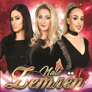 N'dashni s'ka fajtor