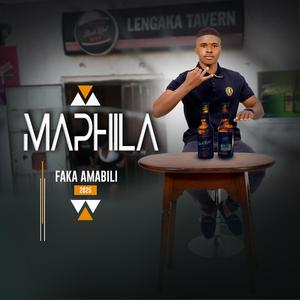 Siyoze sifike (feat. Menzi Music)