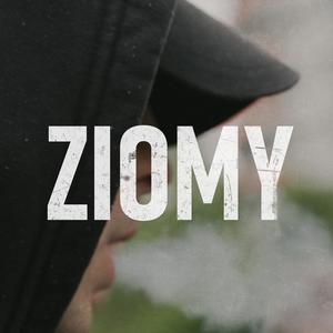 Ziomy (feat. Proba) (Explicit)