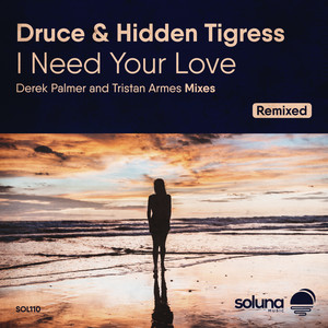 I Need Your Love (Derek Palmer Remix)