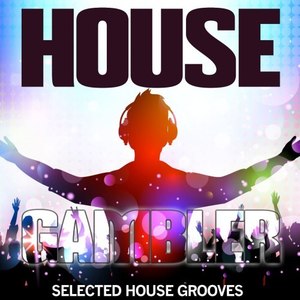 Though the Sky (Roy Rolls Mix)
