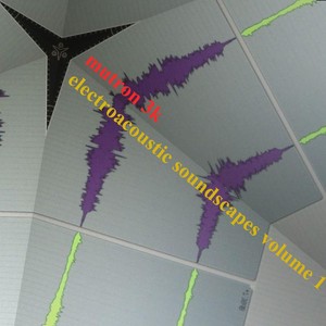 Electroacoustic Soundscapes, Vol. 1