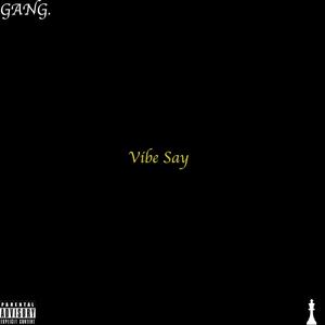 VIBE SAY (feat. Lache & Bari) [Explicit]