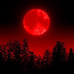 Favorite Mistake (Explicit)