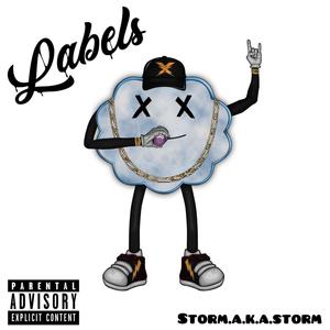 LABELS (Explicit)