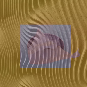 Satellite From Toronto