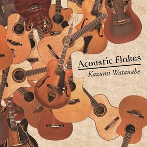 Acoustic Flakes